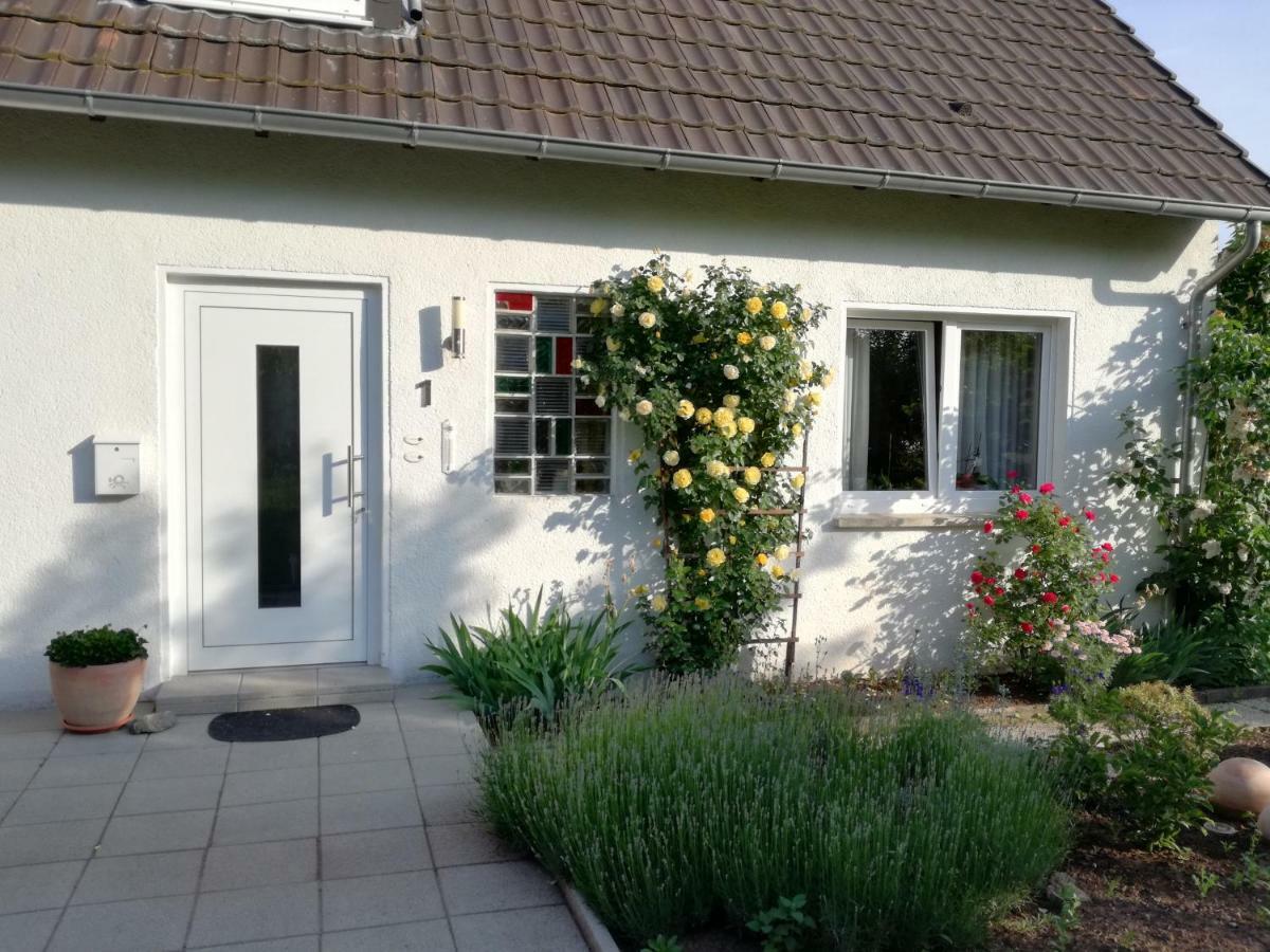 Ferien-Appartement Goldhausen Zewnętrze zdjęcie